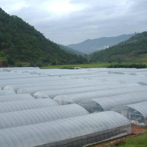 Anti-Qxidative Greenhouse Film Anti-Qxidative Greenhouse Film